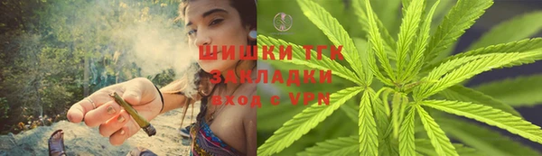 шишки Алексеевка