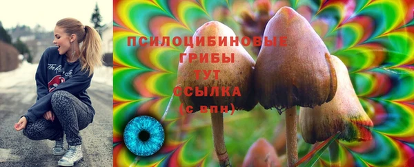 шишки Алексеевка