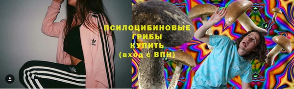 шишки Алексеевка