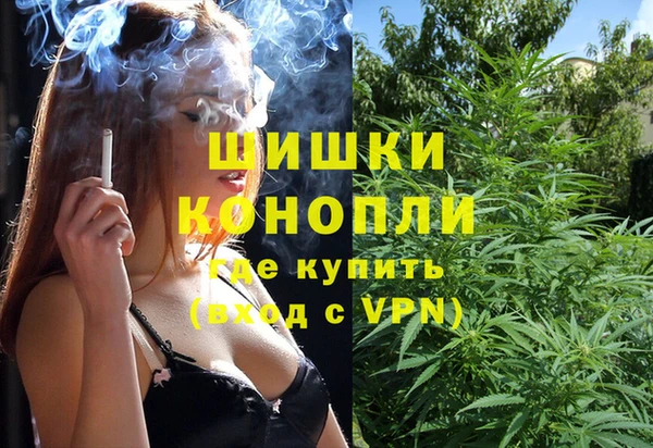 шишки Алексеевка
