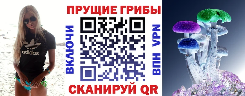 магазин продажи   Пугачёв  Галлюциногенные грибы мухоморы 